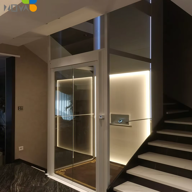 VTEV106 Ascensores Elevadores Lift pentru vilă de înaltă calitate pentru modernizarea casei