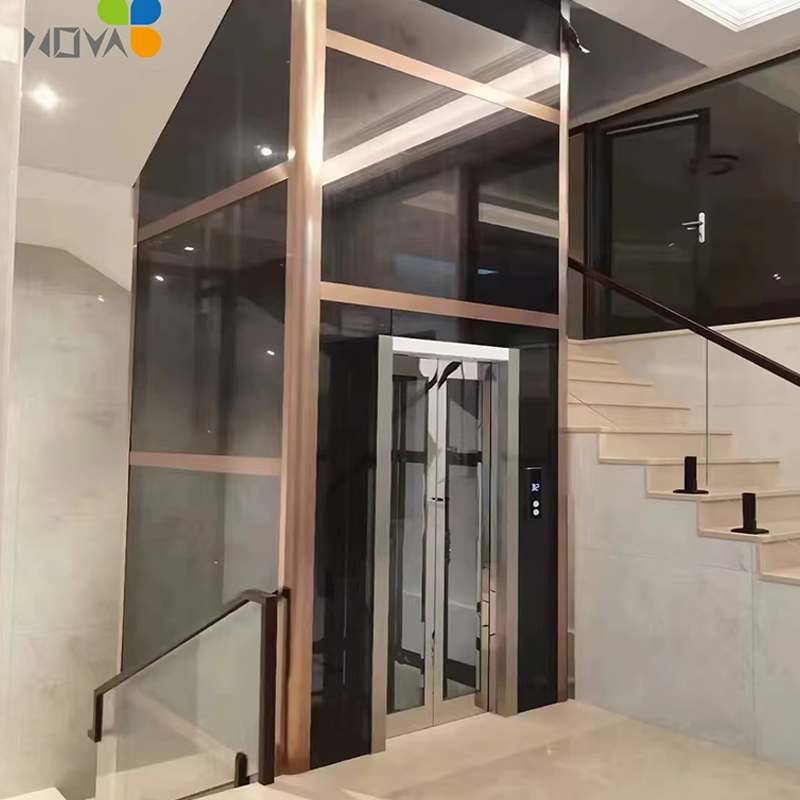 VTEV106 Ascensores Elevadores Lift pentru vilă de înaltă calitate pentru modernizarea casei