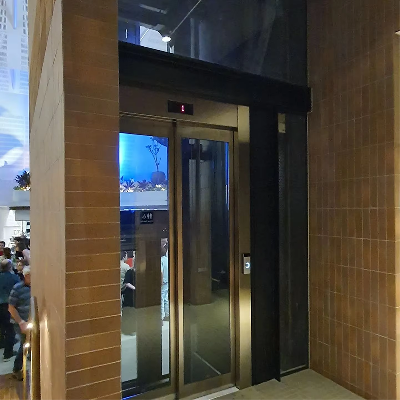 VTEP108 Elevadores Ascensoare rapide și fluide pentru pasageri pentru proprietăți comerciale Service rapid