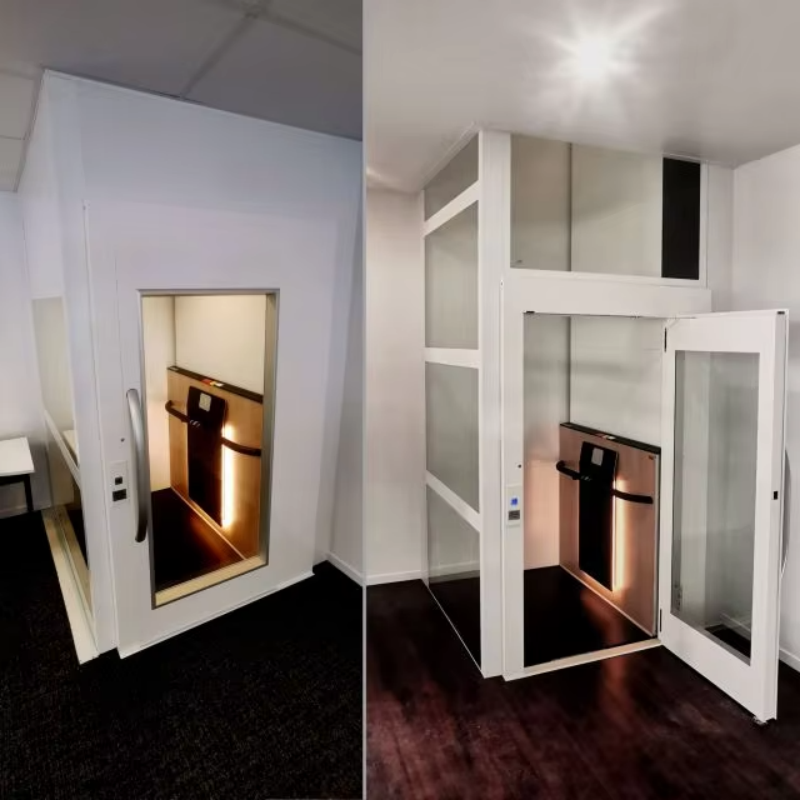 VTEV108 Ascensores Elevadores Lift de vilă sigur și de încredere pentru instalarea casei de familie