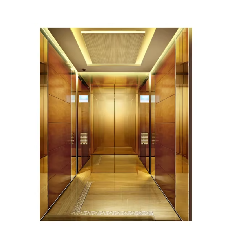 Lift pentru pasageri VTEP109 Elevadores, ușor de utilizat, cu panou de control intuitiv