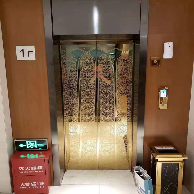 VTEO101 Ascensores Lift de observație elegant pentru apartamente de lux și clădiri de birouri
