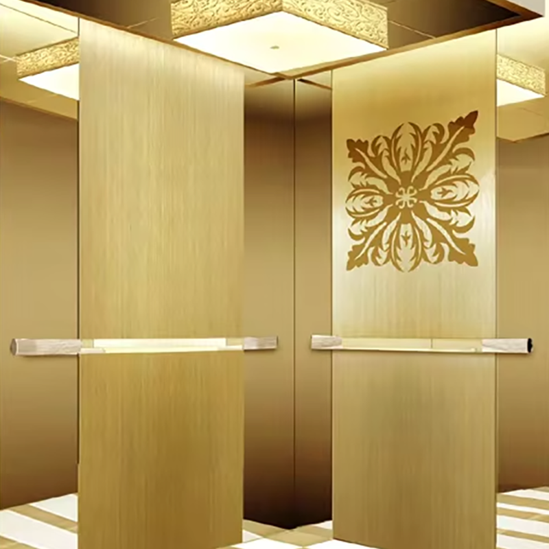 VTEO101 Ascensores Lift de observație elegant pentru apartamente de lux și clădiri de birouri