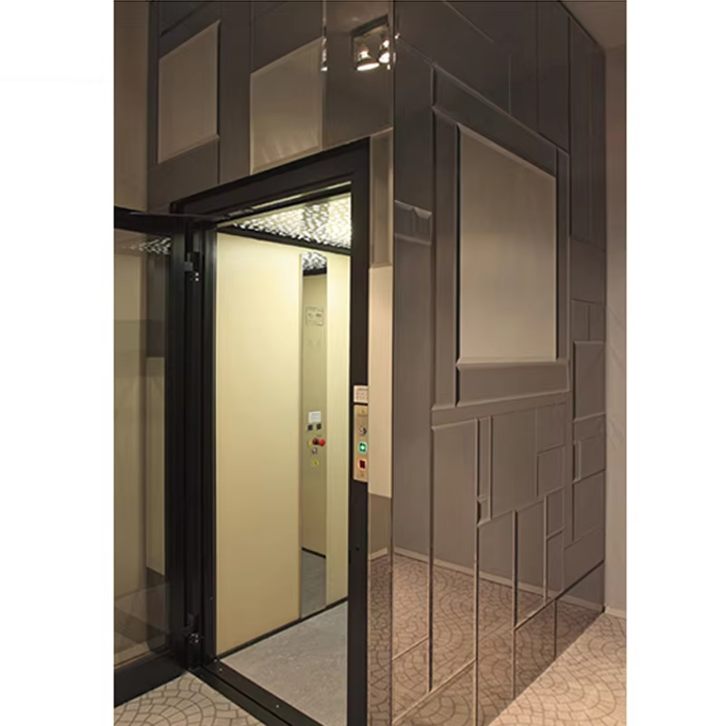 VTEV101 Ascensores Elevadores Lift de vilă cu design frumos pentru stil de decor modern