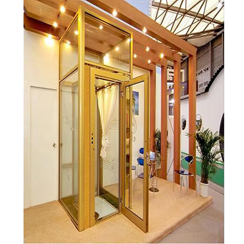 VTEV101 Ascensores Elevadores Lift de vilă cu design frumos pentru stil de decor modern