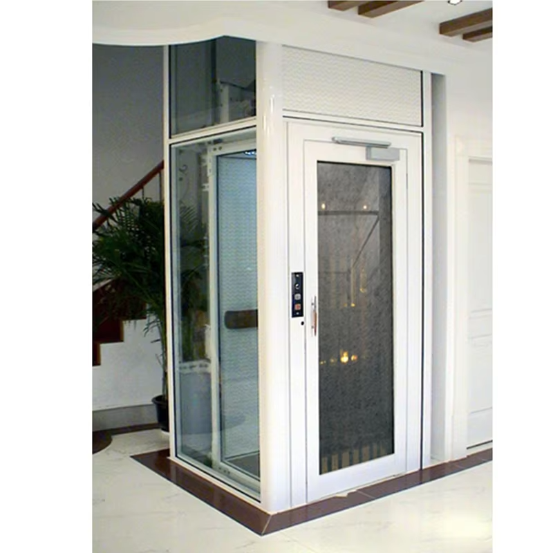 VTEV101 Ascensores Elevadores Lift de vilă cu design frumos pentru stil de decor modern