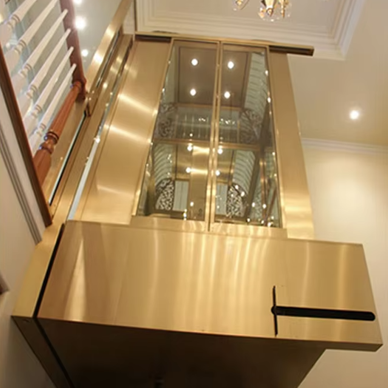 VTEV104 Ascensores Elevadores Ascensor de lux din oțel inoxidabil pentru vilă pentru uz familial