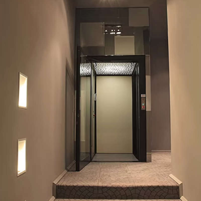 VTEV104 Ascensores Elevadores Ascensor de lux din oțel inoxidabil pentru vilă pentru uz familial