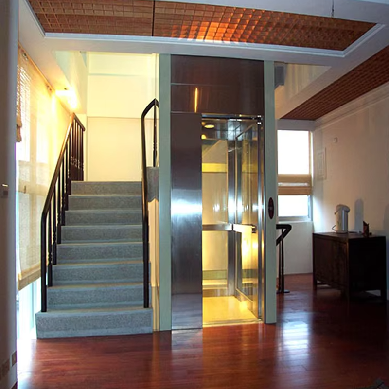 VTEV104 Ascensores Elevadores Ascensor de lux din oțel inoxidabil pentru vilă pentru uz familial