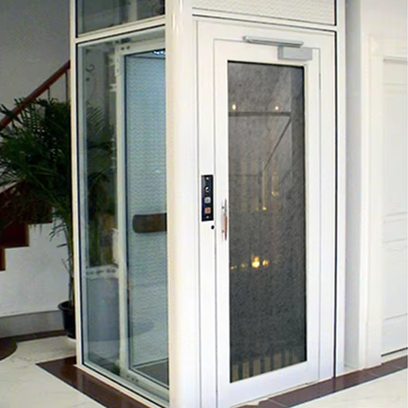 VTEV105 Ascensores Elevadores Personalizat Cabin Villa Lift for Interior Decoration