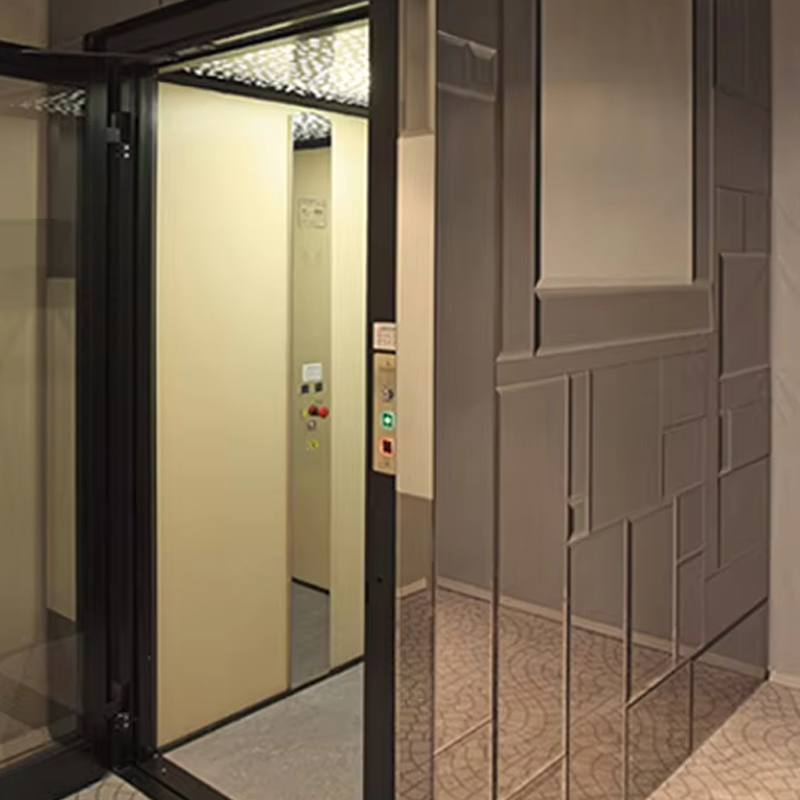 VTEV105 Ascensores Elevadores Personalizat Cabin Villa Lift for Interior Decoration