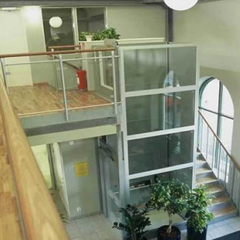 VTEV105 Ascensores Elevadores Personalizat Cabin Villa Lift for Interior Decoration