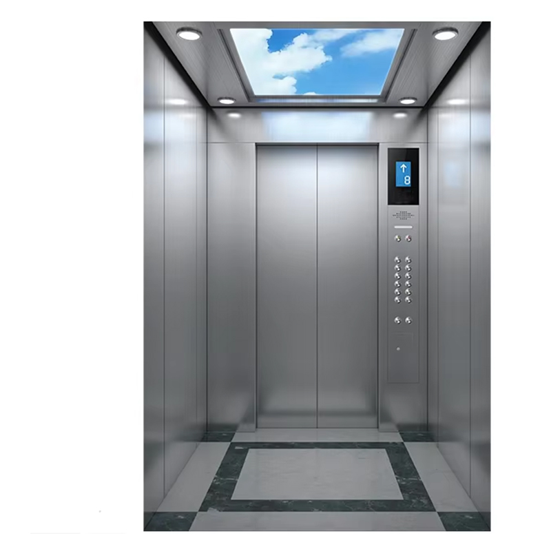 VTEP120 Vilă rezidențială Lift pentru pasageri Sticla panoramică Construcție din oțel inoxidabil Caracteristici de siguranță Capacitate mare
