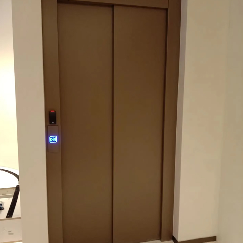 VTEP120 Vilă rezidențială Lift pentru pasageri Sticla panoramică Construcție din oțel inoxidabil Caracteristici de siguranță Capacitate mare
