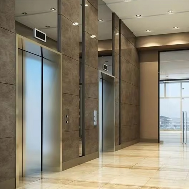 VTEP120 Vilă rezidențială Lift pentru pasageri Sticla panoramică Construcție din oțel inoxidabil Caracteristici de siguranță Capacitate mare