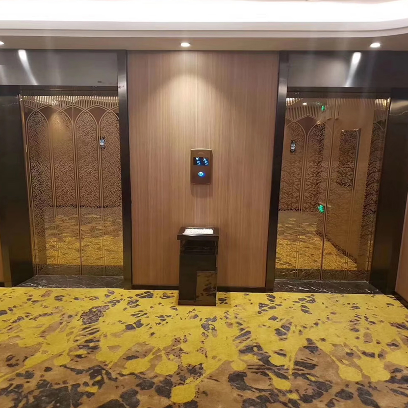 VTEP122 Elevadores Lift pentru pasageri avansat și care economisește spațiu pentru clădiri înalte