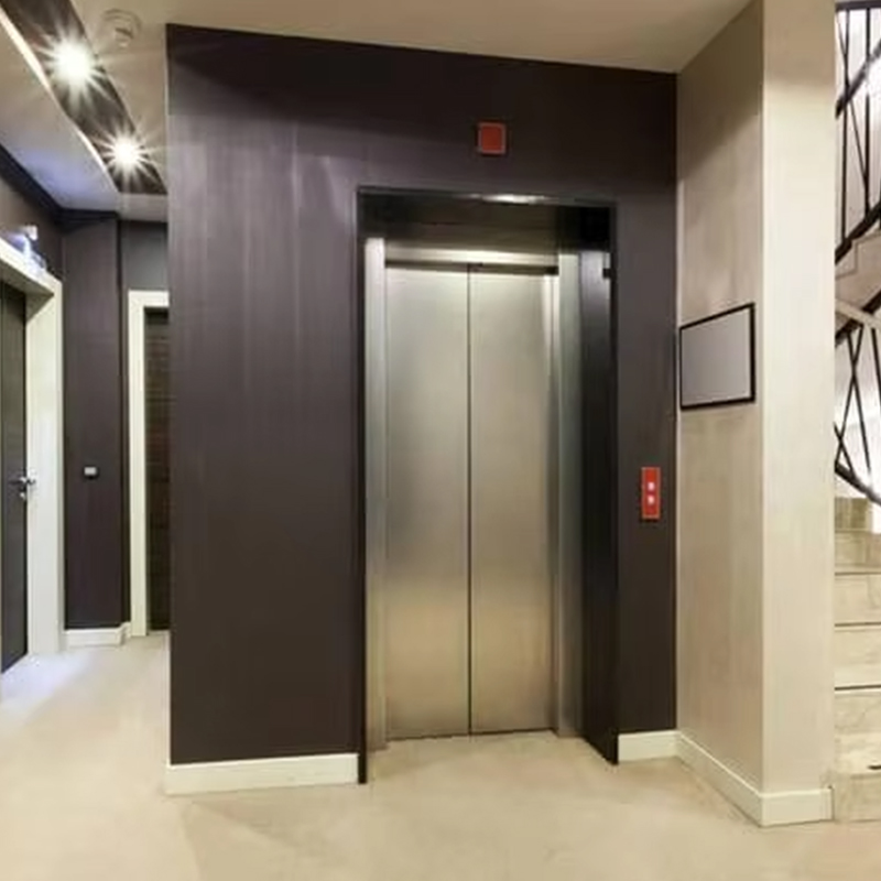 VTEP123 Ascensor rezidențial de pasageri, personalizat, cu sistem de acţionare fără viteze, cu design panoramic