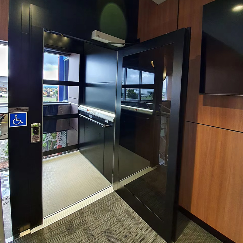 VTEP123 Ascensor rezidențial de pasageri, personalizat, cu sistem de acţionare fără viteze, cu design panoramic