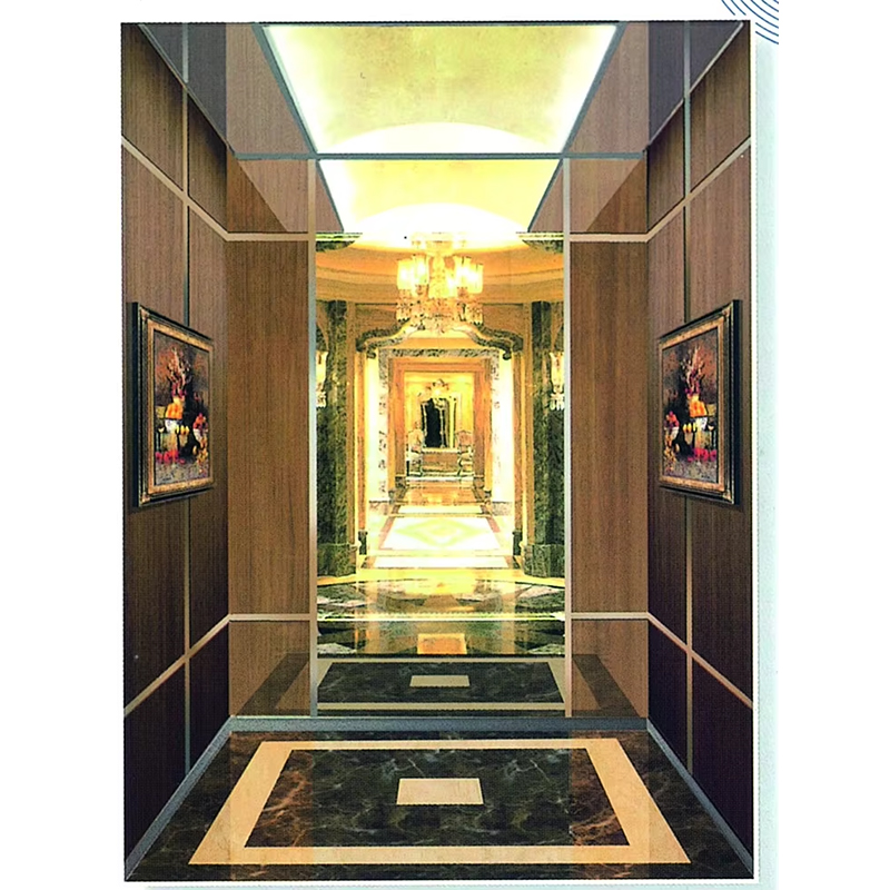 VTSP132 Piese pentru lift cabină de lift din oțel inoxidabil cu design modern, dimensiune personalizată pentru proiecte rezidențiale și comerciale