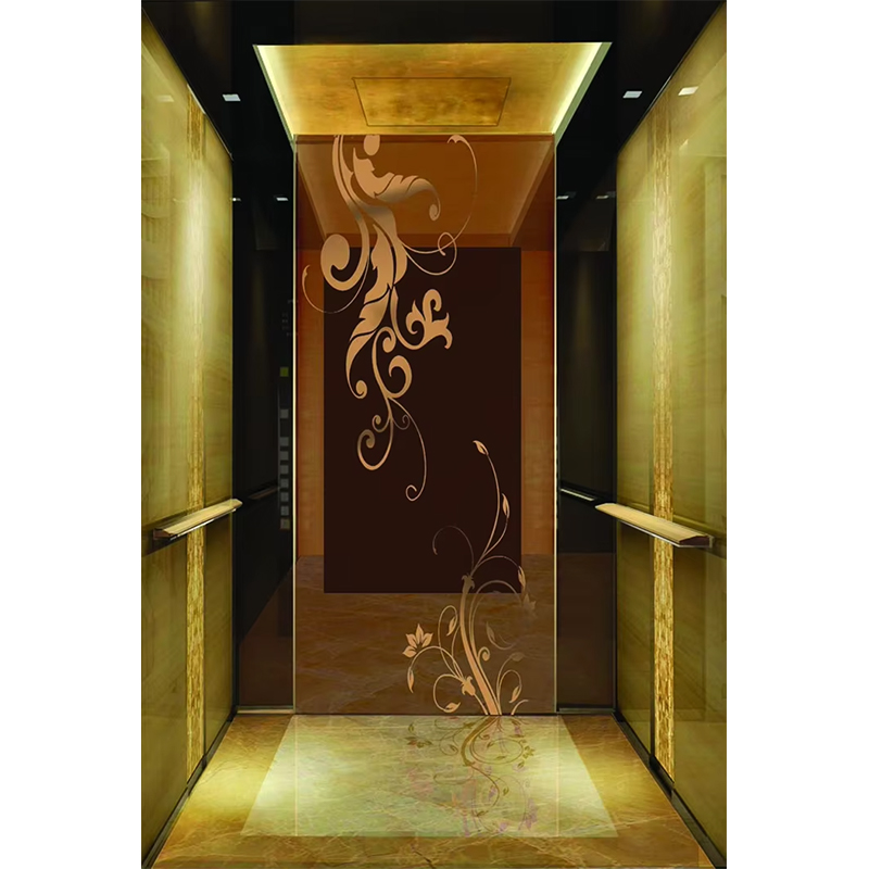 VTSP133 Cabină de lift de hotel de lux cu design contemporan premium din oțel inoxidabil Culoare personalizată 1 an garanție