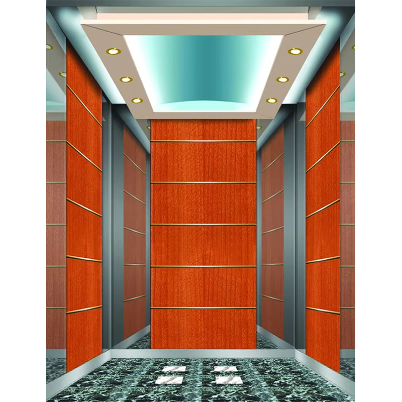VTSP133 Cabină de lift de hotel de lux cu design contemporan premium din oțel inoxidabil Culoare personalizată 1 an garanție